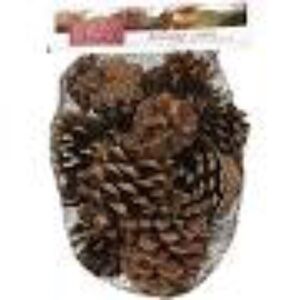 (4) Bag of cinnamon scented pine cones